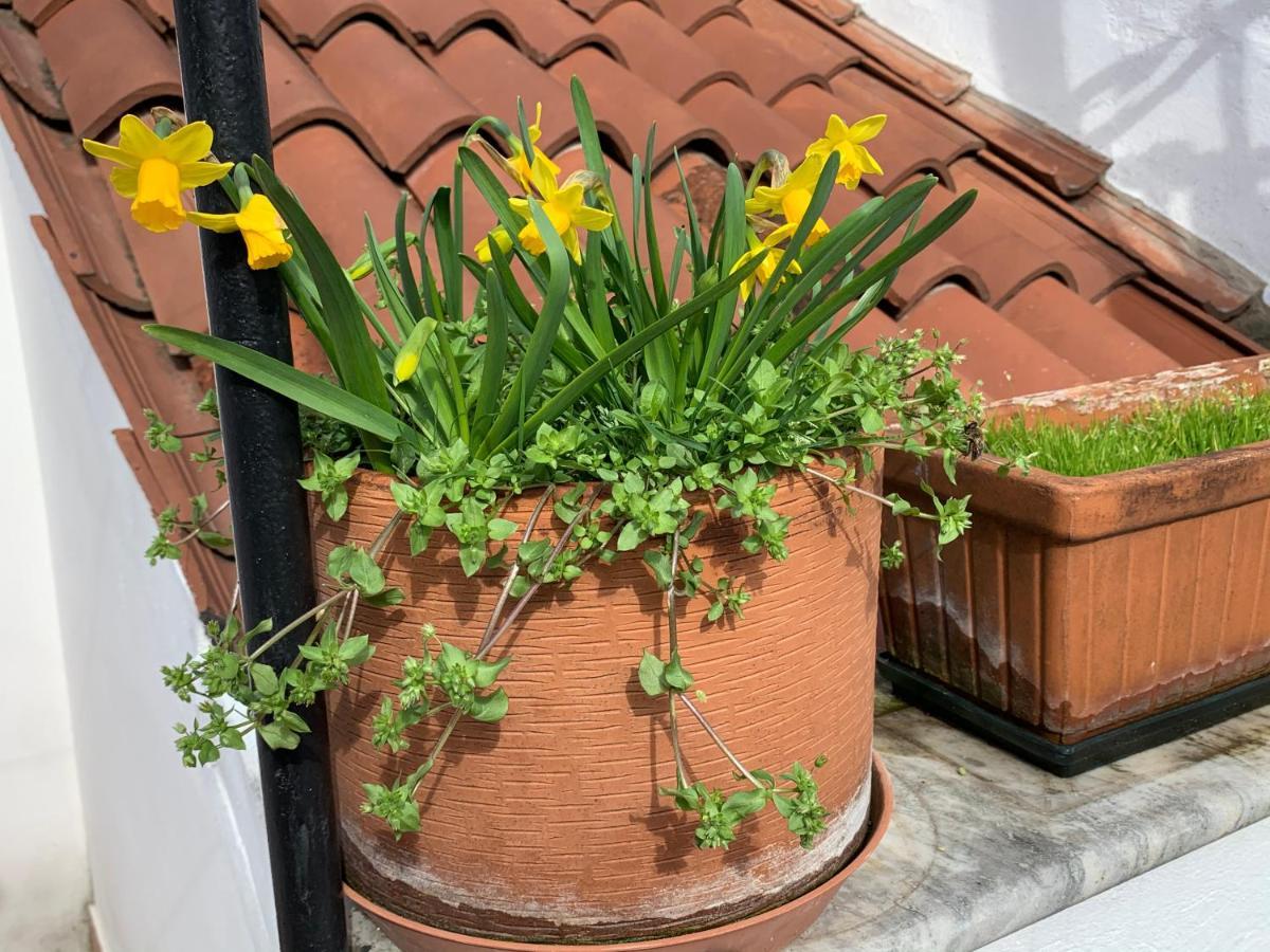 Rooftop Terrace Domus Dei Fabbri 威尼斯 外观 照片