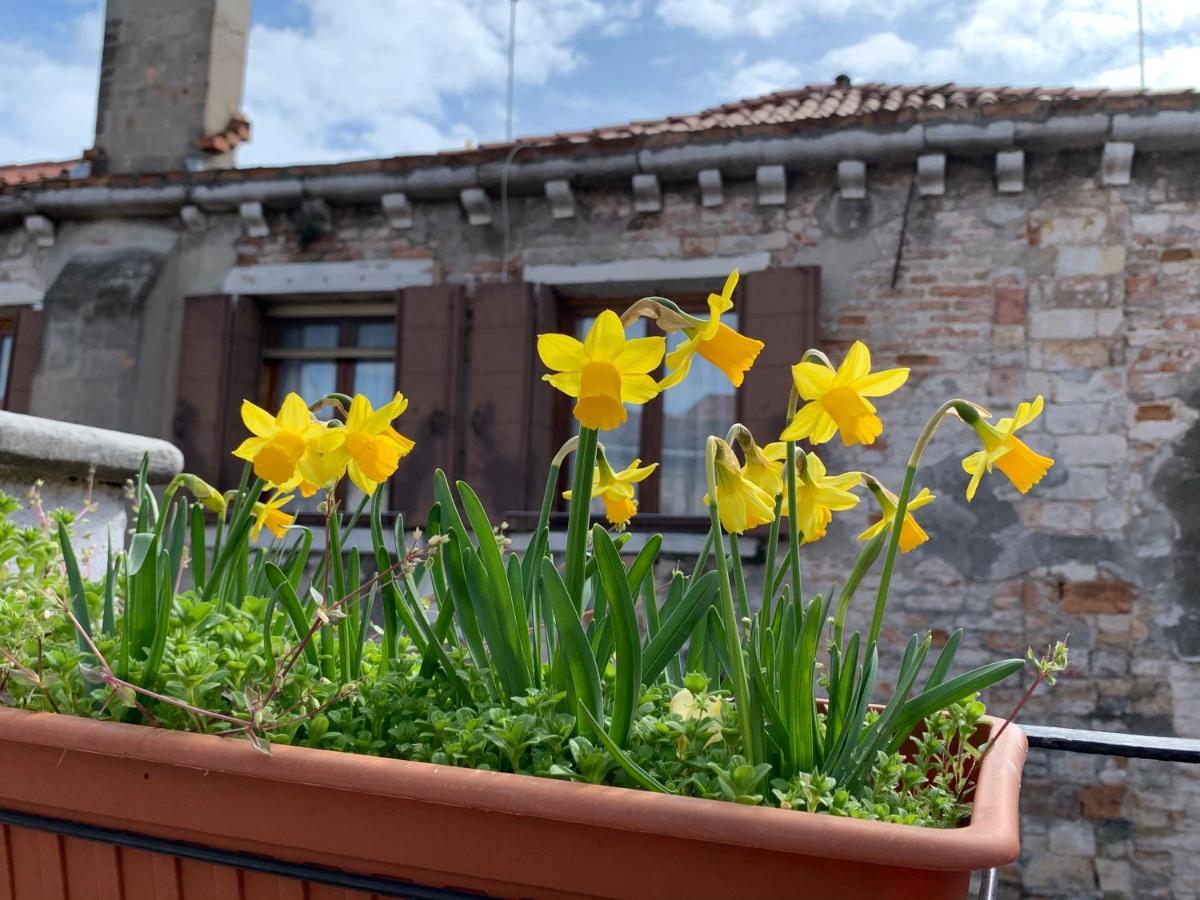 Rooftop Terrace Domus Dei Fabbri 威尼斯 外观 照片